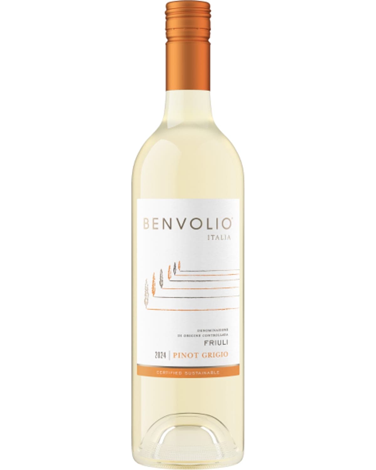 Benvolio Pinot Grigio (2024) — bottle