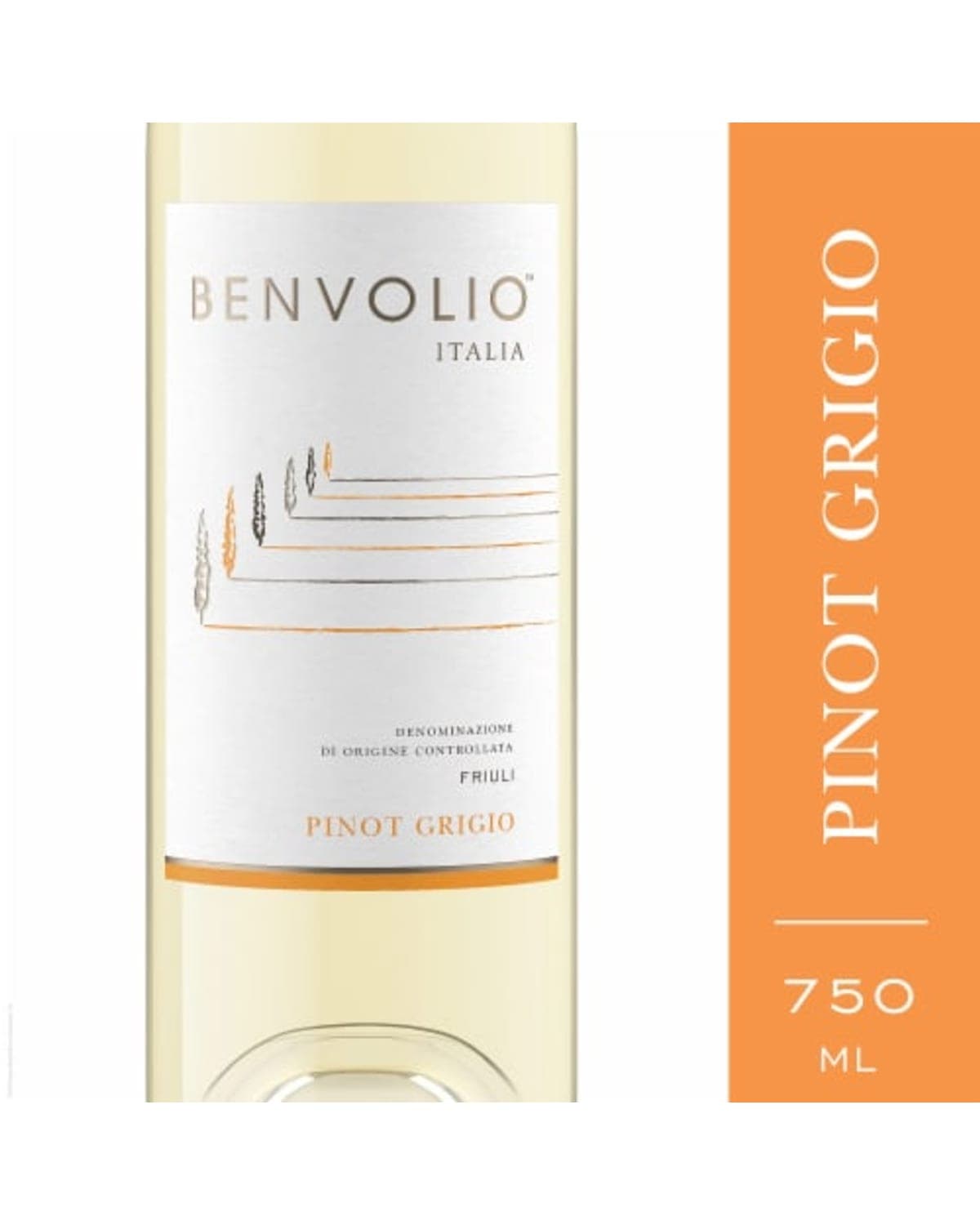 Benvolio Pinot Grigio (2024)