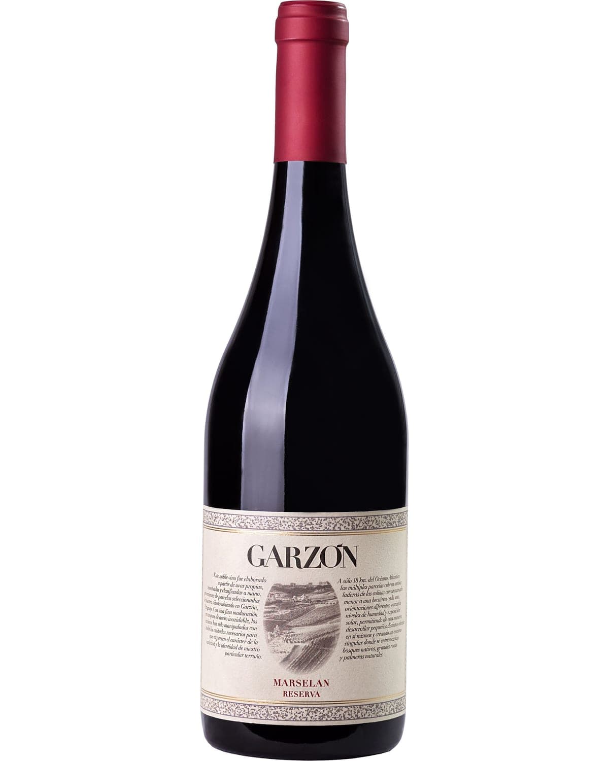 Bodega Garzón Marselan Reserva (2024) — bottle