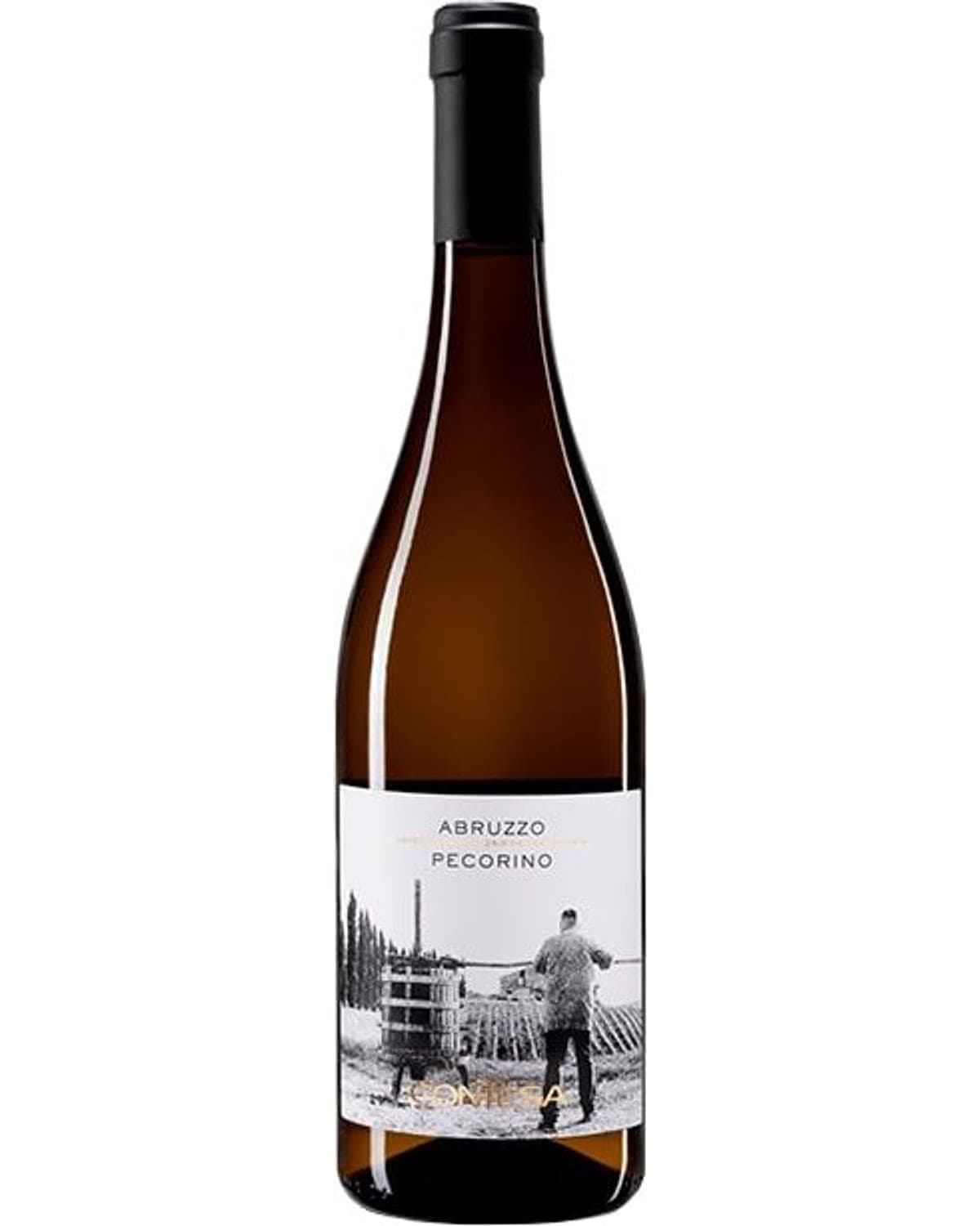 Contesa Pecorino DOC Blanco (2024) — bottle