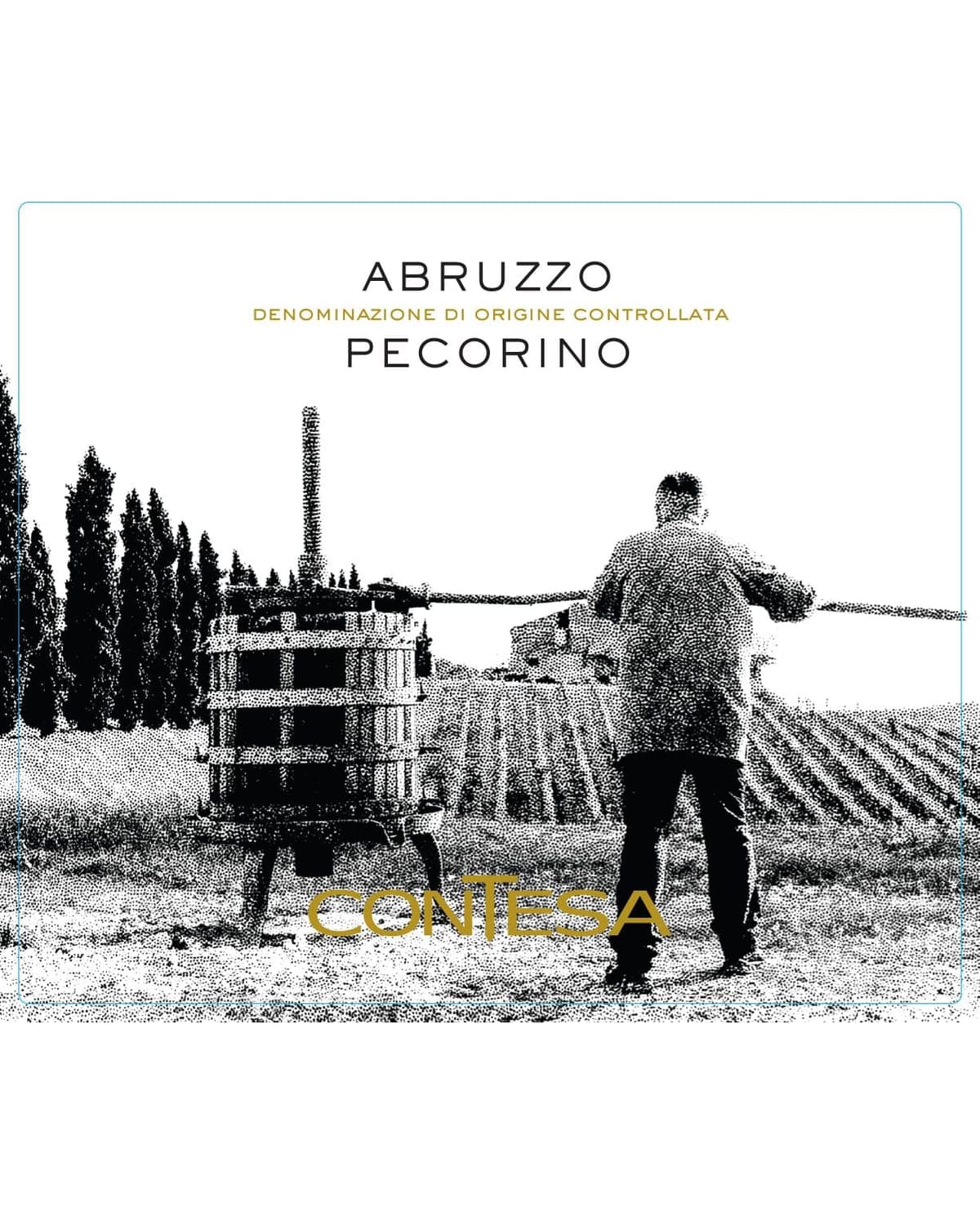 Contesa Pecorino DOC Blanco (2024)