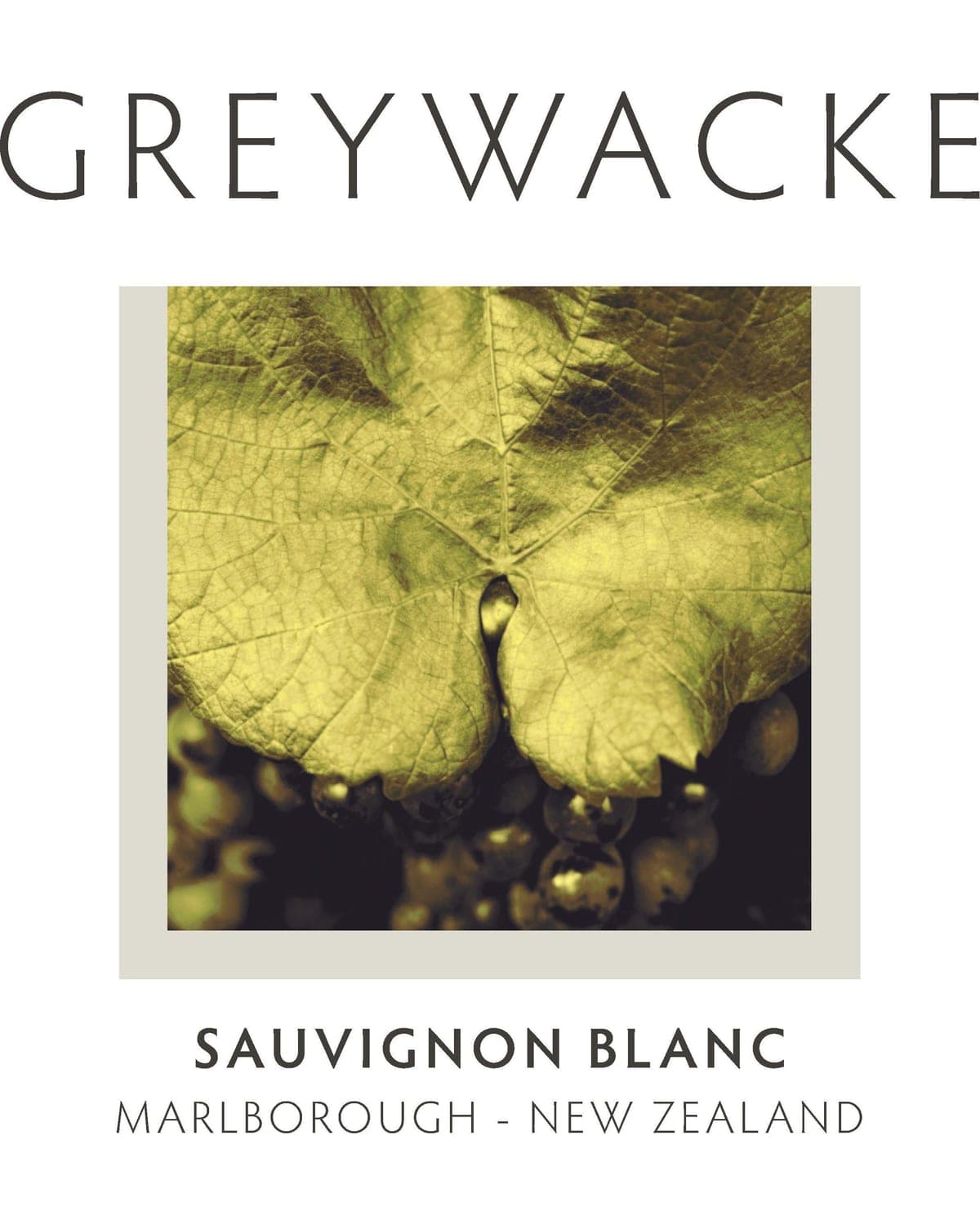 Greywacke Sauvignon Blanc (2025) — bottle