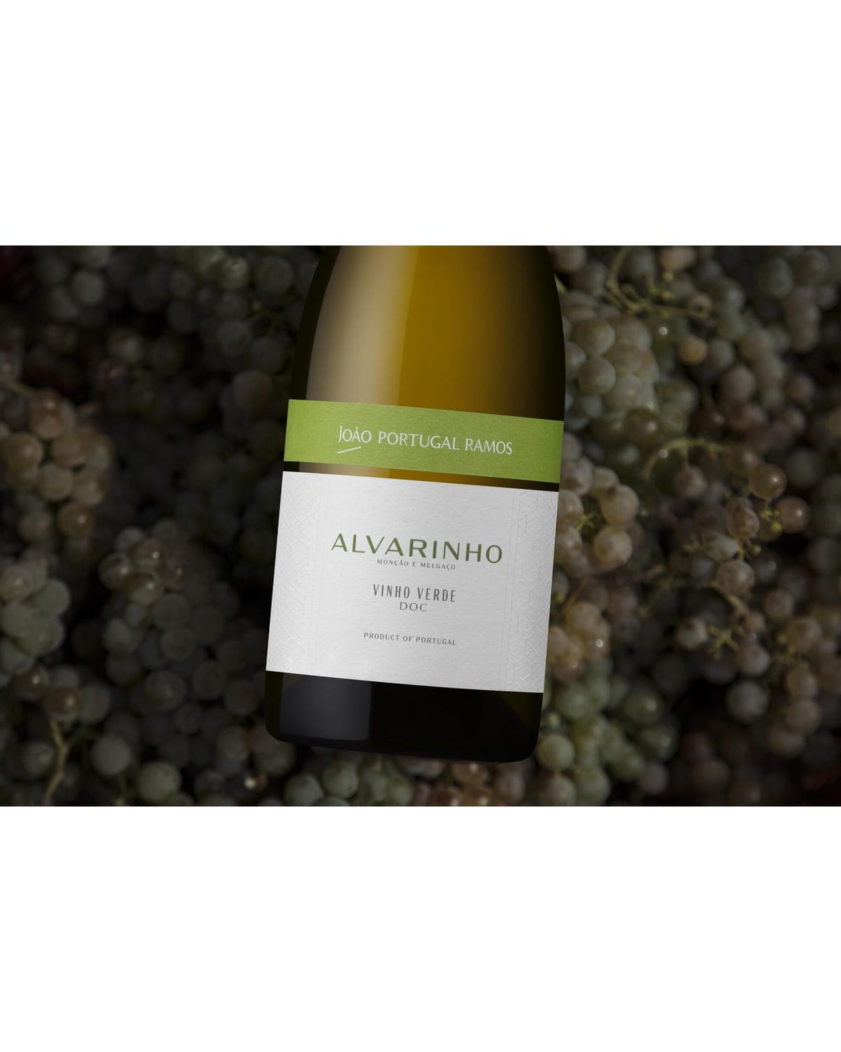 João Portugal Ramos Alvarinho (2024)