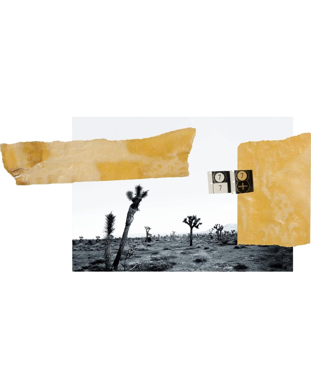 Orin Swift 8 Years in the Desert (2023)