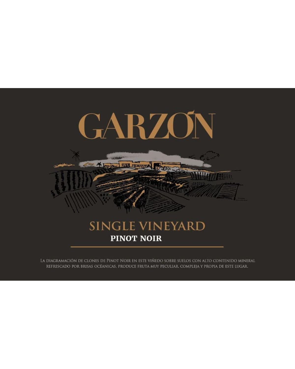 Bodega Garzón Single Vineyard Pinot Noir Red 2022 | 750ml