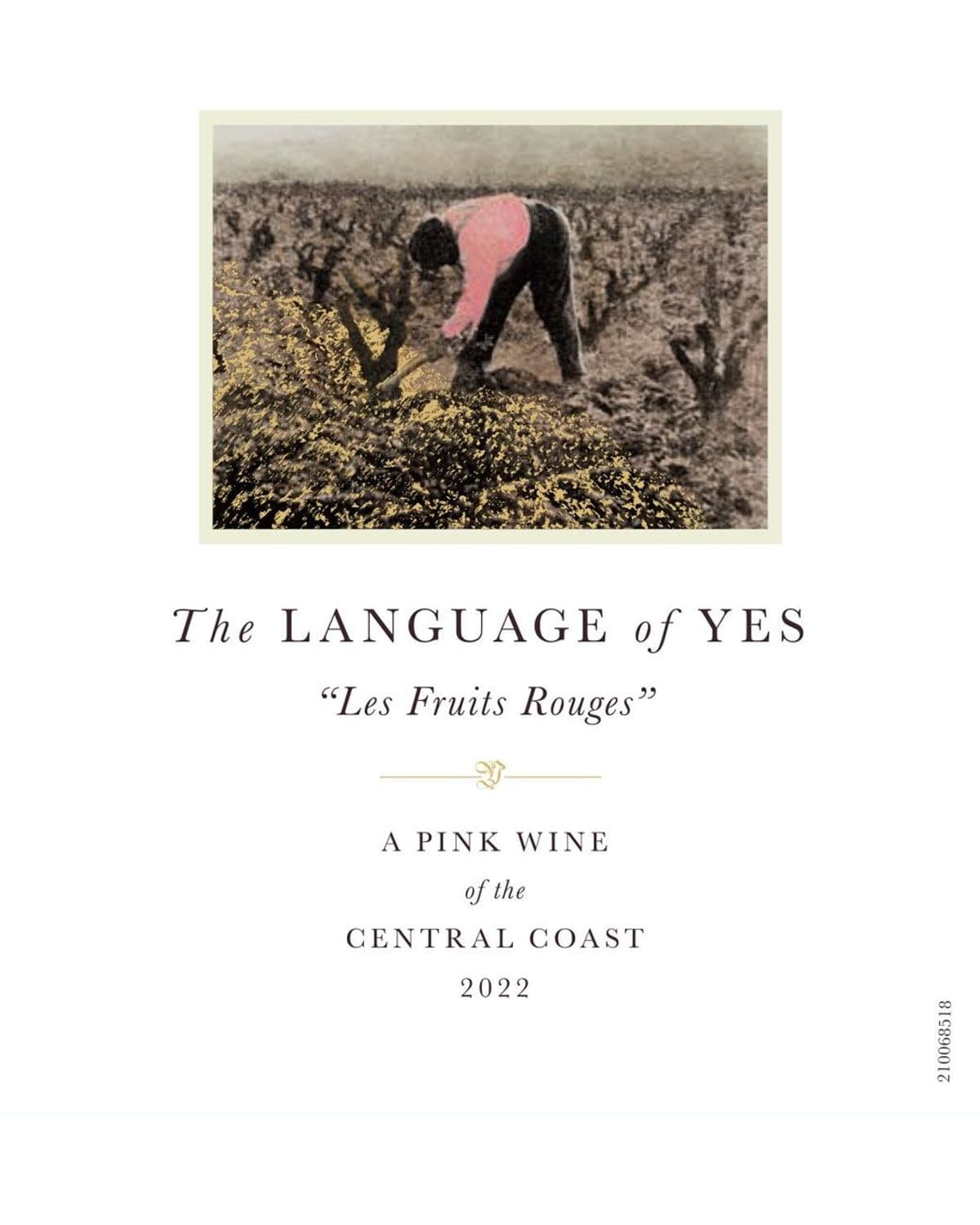 The Language of Yes Les Fruits Rouges Rose 2022 Front Label